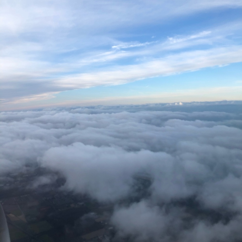 Meet your Posher, Cynthia